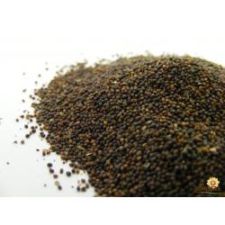 Basil Seed