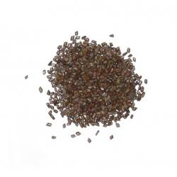 Cassia Seed