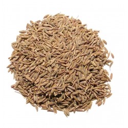 Cumin Seed Premium Organic