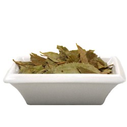 Neem Leaves (Whole)