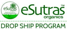 Drop Ship logo